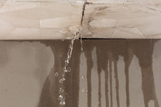 Professional Sewage Cleanup technician working in Economy, IN